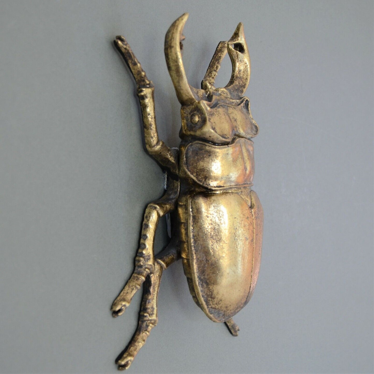 Large 23cm Steampunk Gold Stag Beetle Wall Art Hanging Insect Bug Ornament Décor