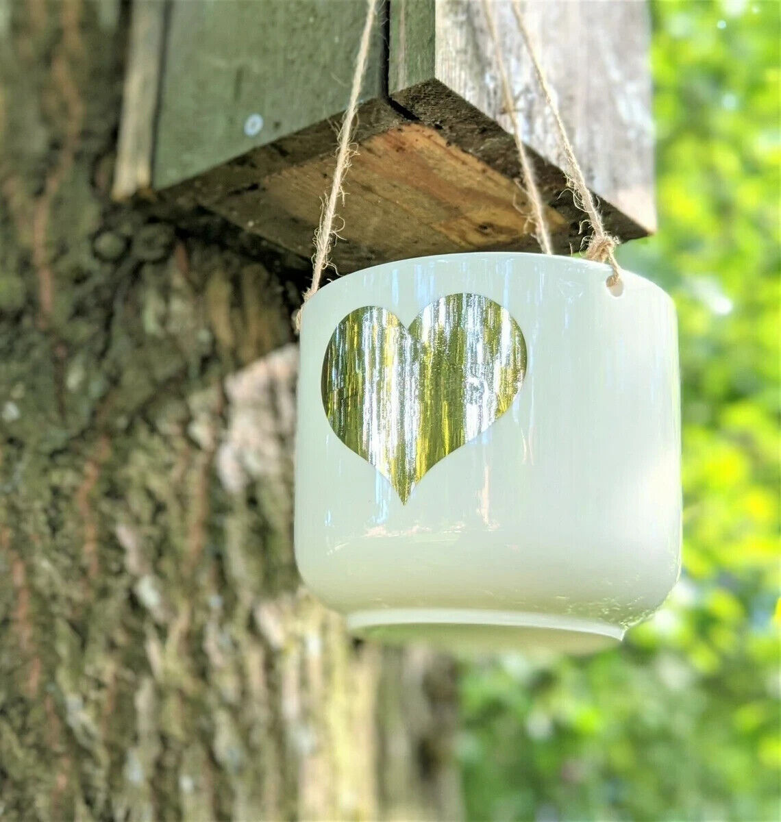 Ceramic Gold Heart Hanging Flower Plant Planter Kitchen Herb Jar Pot In Gift Box