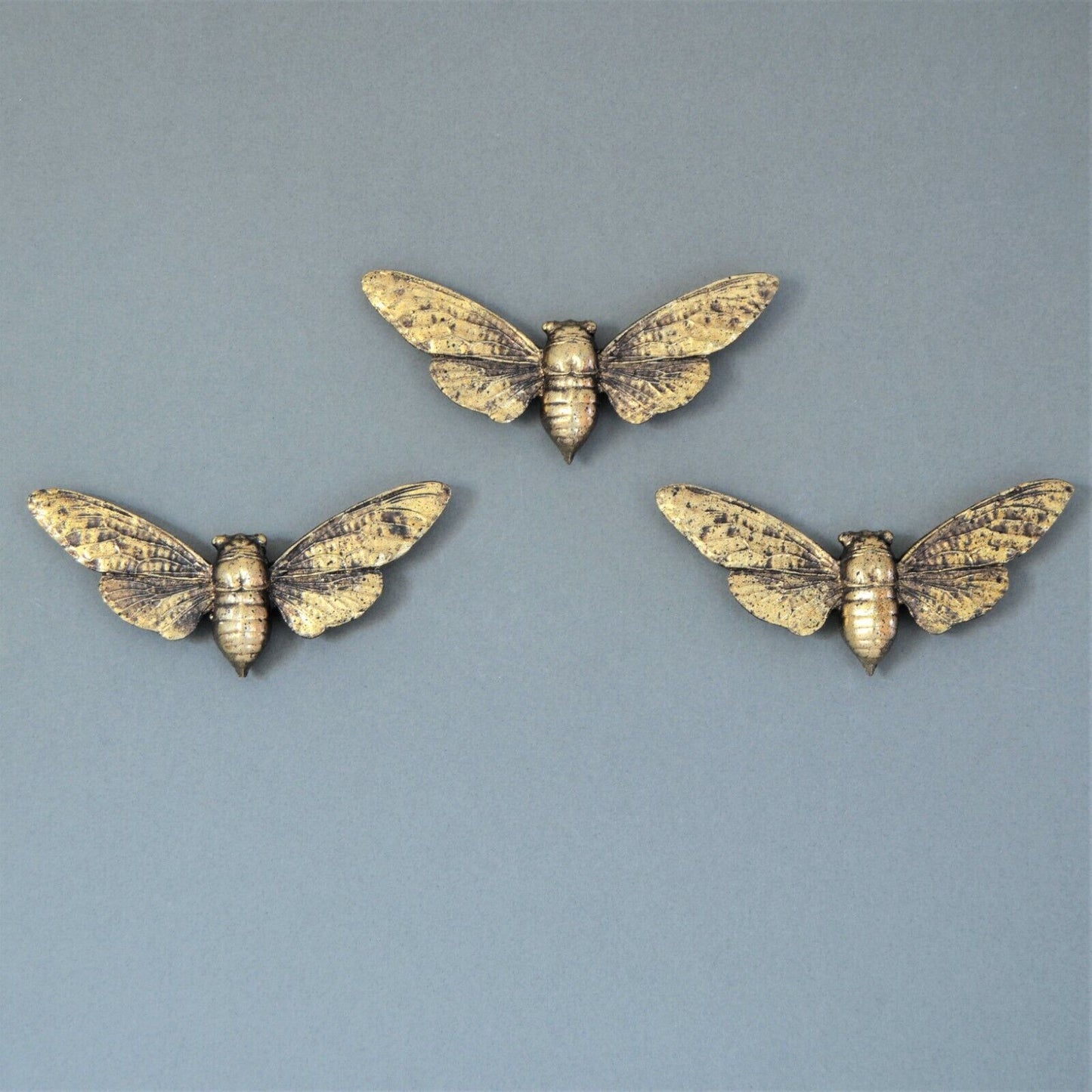 3pc Steampunk Gold Finished Bee Wings Wall Hanging Insect Bug Ornament Décor
