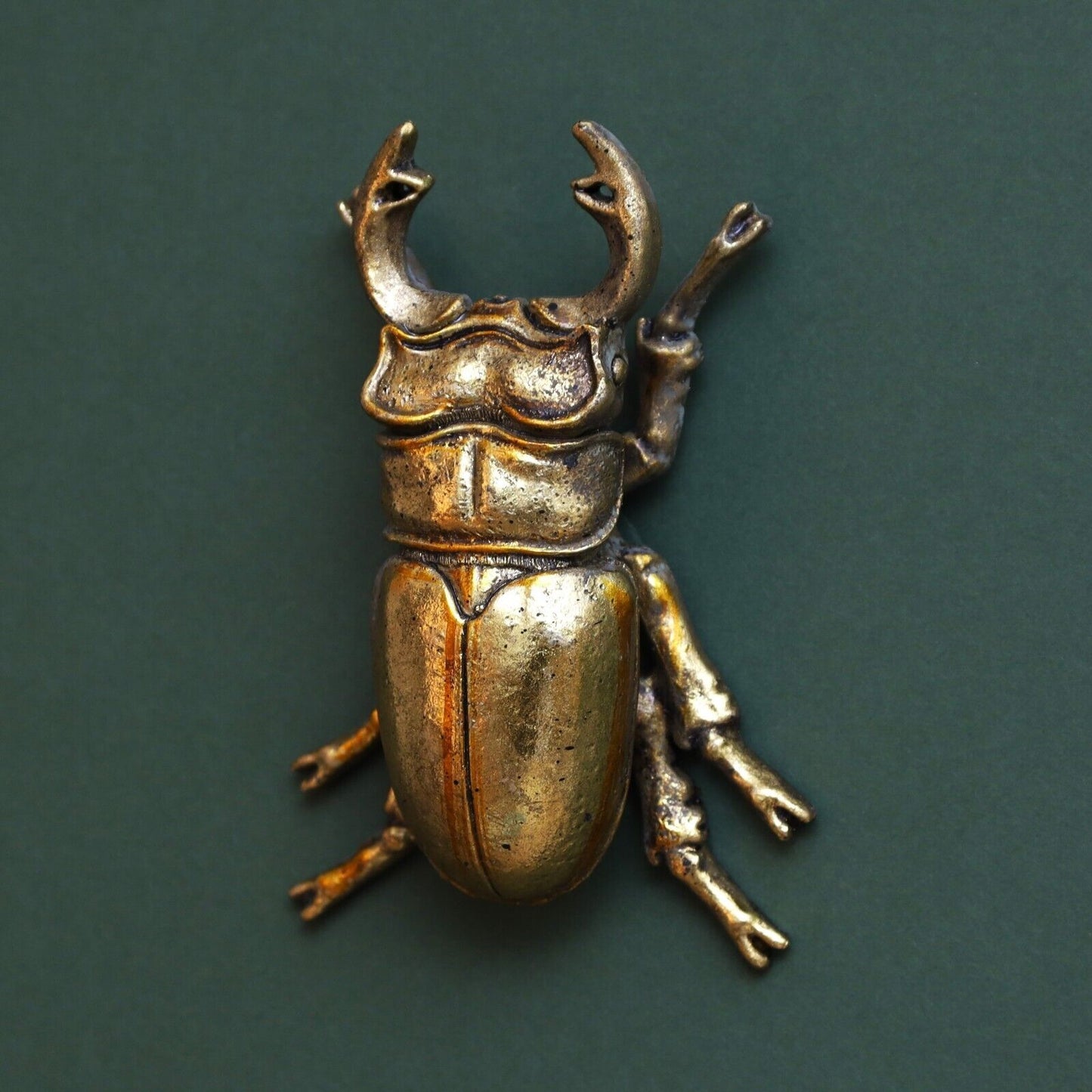 Steampunk Gold Stag Lady Beetle Wall Bee Art Hanging Insect Bug Ornament Décor