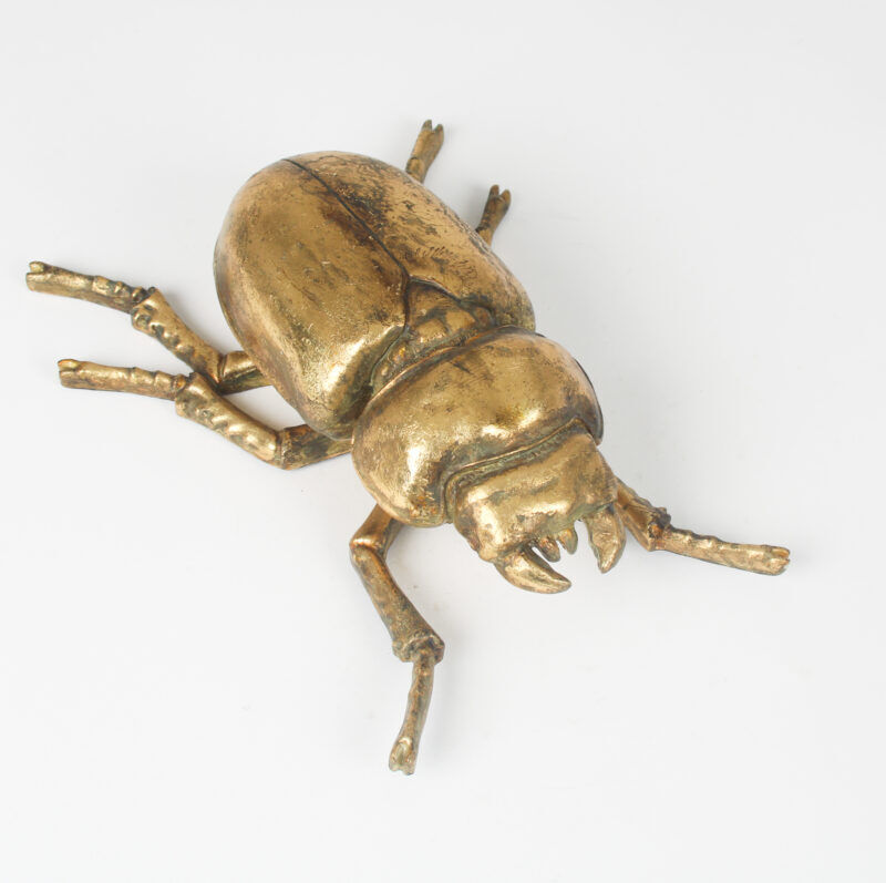 Large 23cm Steampunk Gold Lady Stag Beetle Wall Art Hanging Insect Bug Décor