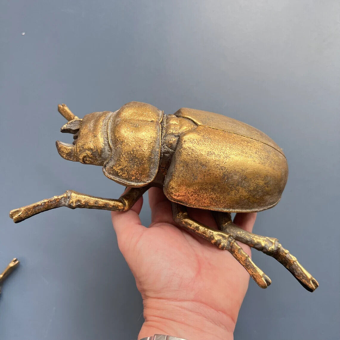 Large 23cm Steampunk Gold Lady Stag Beetle Wall Art Hanging Insect Bug Décor