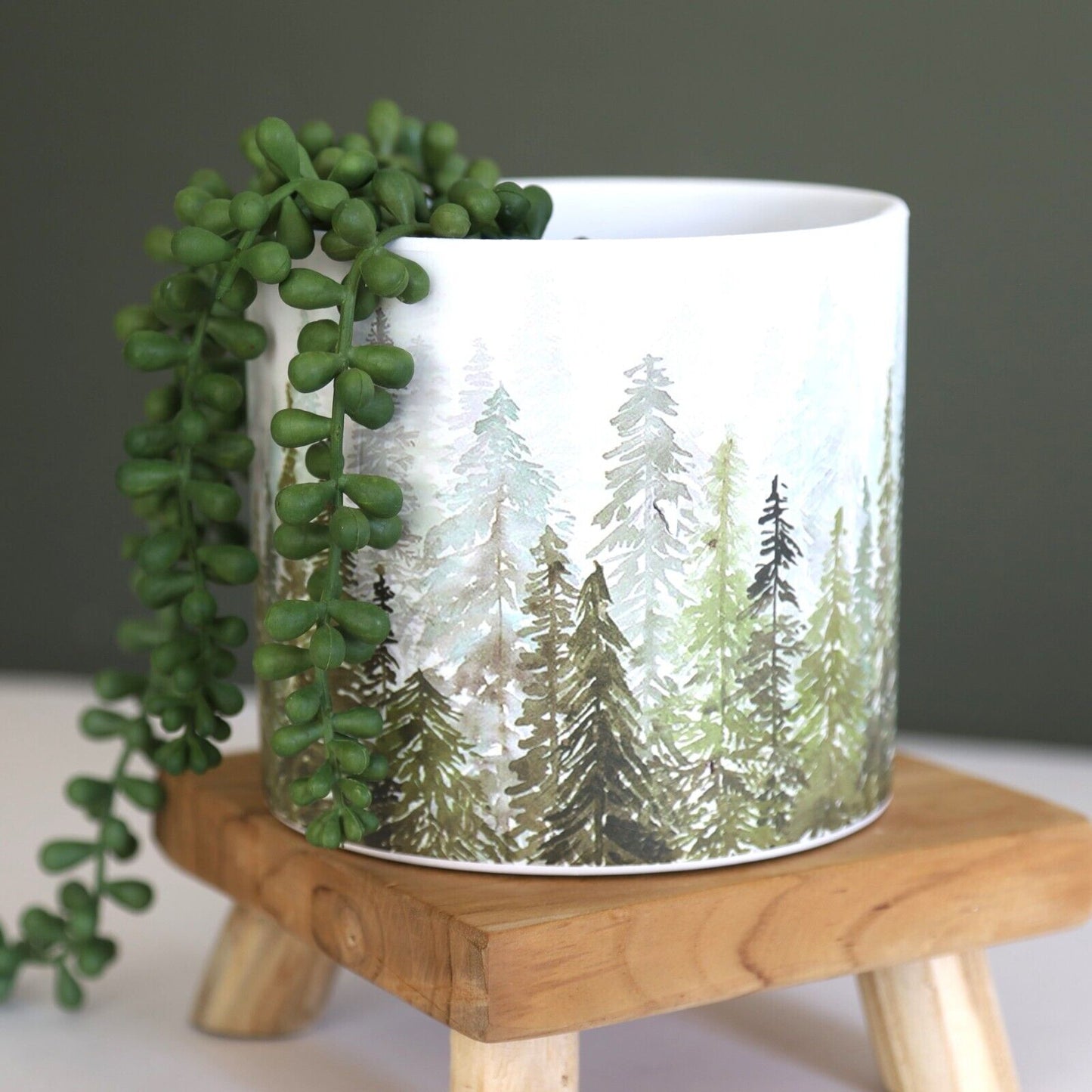 13.5cm Mountain Scape Jungle Ceramic Indoor Plant Pot Holder Herb Cover Planter