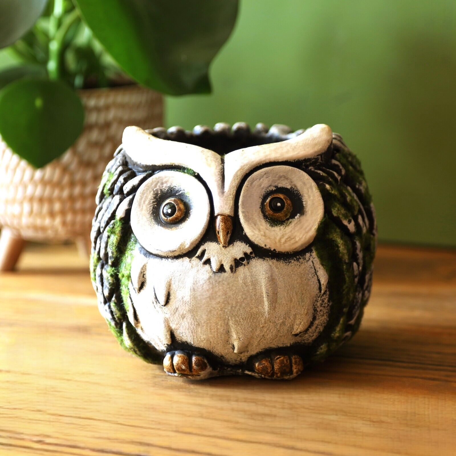 owl planter pot Round Cement Owl Planter White Faced 15cm Barn Garden Flower Plant Pot – Fyne Finds
