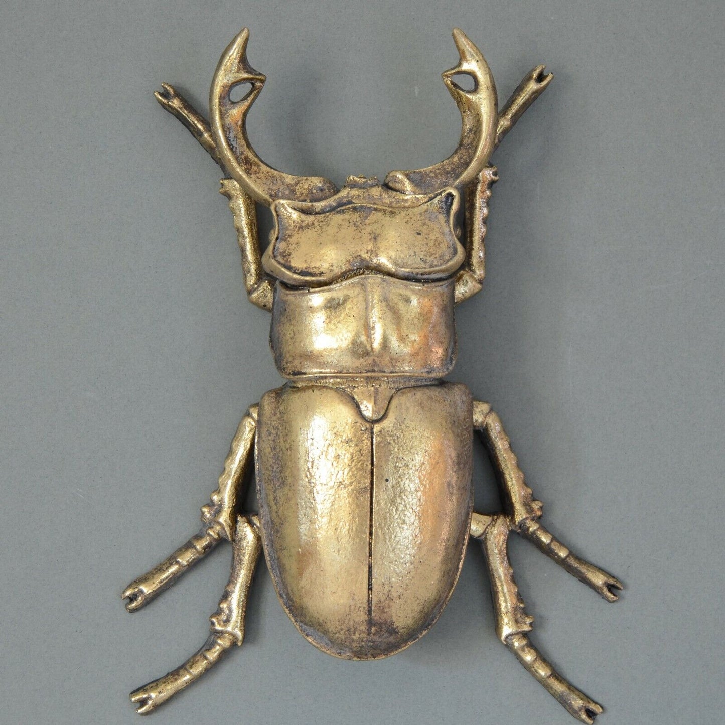 Large 23cm Steampunk Gold Stag Beetle Wall Art Hanging Insect Bug Ornament Décor