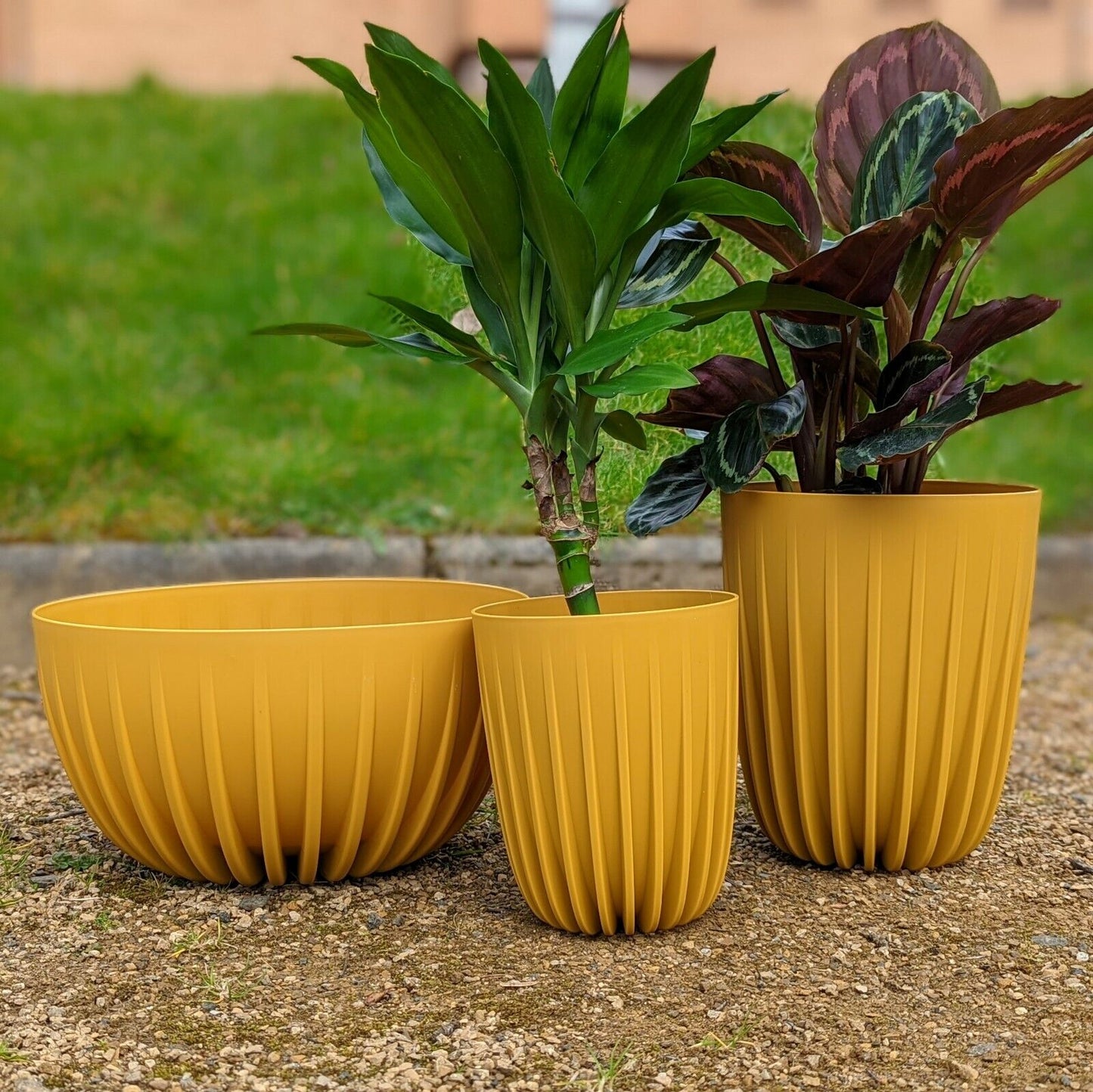 Mustard Yellow Plastic Plant Pot 30cm Round Garden Bowl Planter Cover Garden
