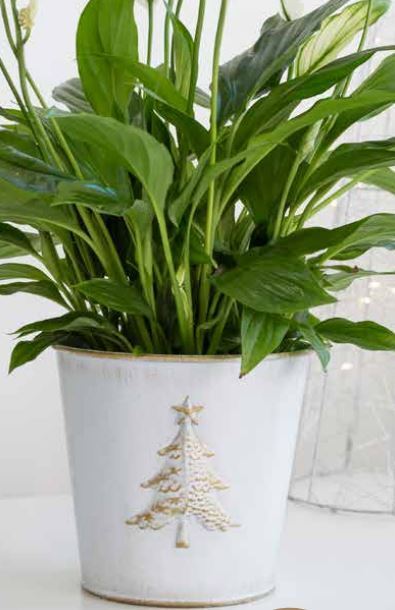 15cm plant pot 15cm Metal Christmas Tree Embossed Plant Pot Tin Pail Planter Gold Whi – Fyne Finds