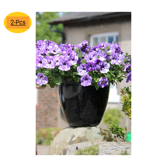 2Pc Plastic Honey Pot Planters 30cm Black Gloss Pot 11L Garden Decor Plant Pot
