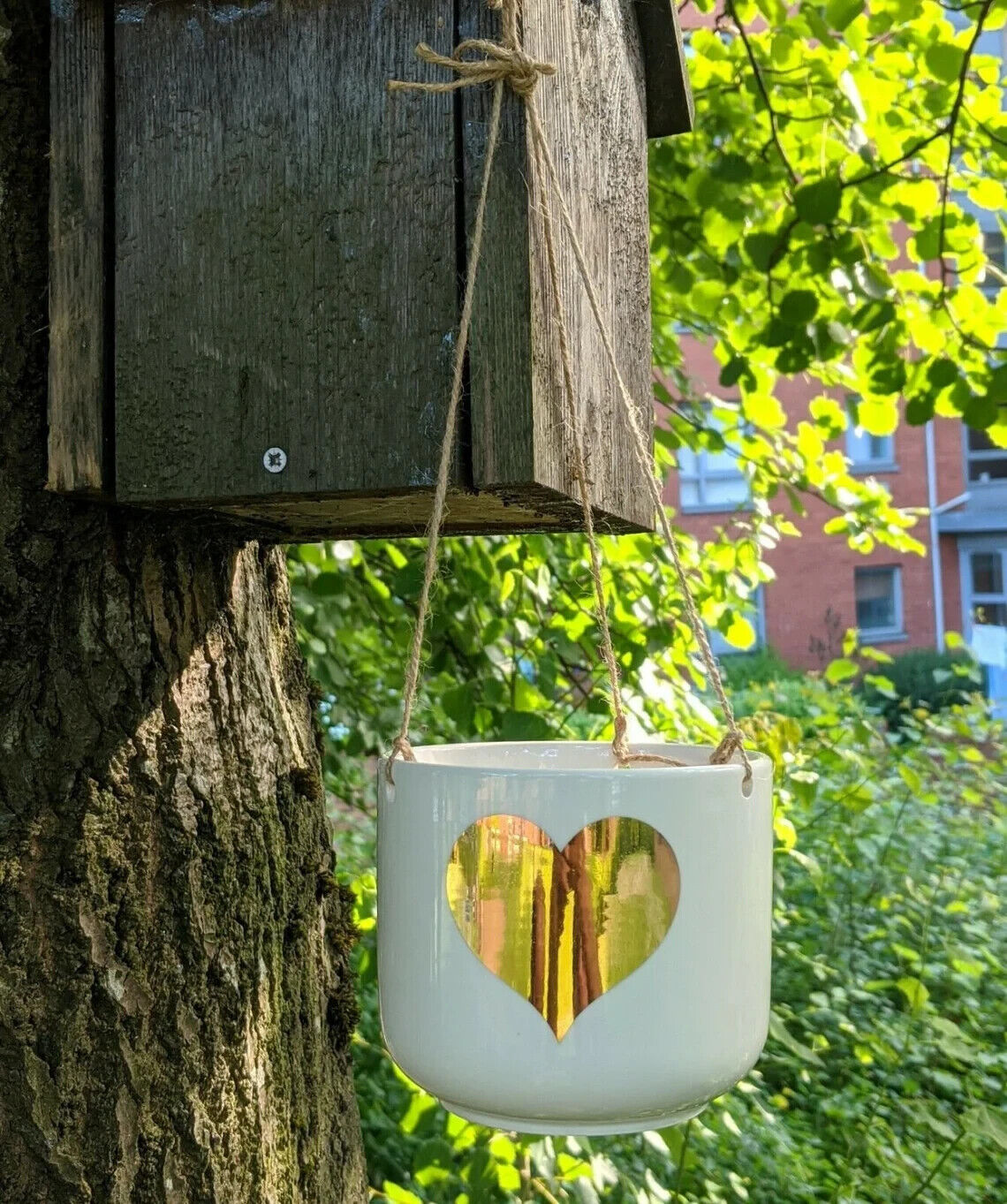 Ceramic Gold Heart Hanging Flower Plant Planter Kitchen Herb Jar Pot In Gift Box