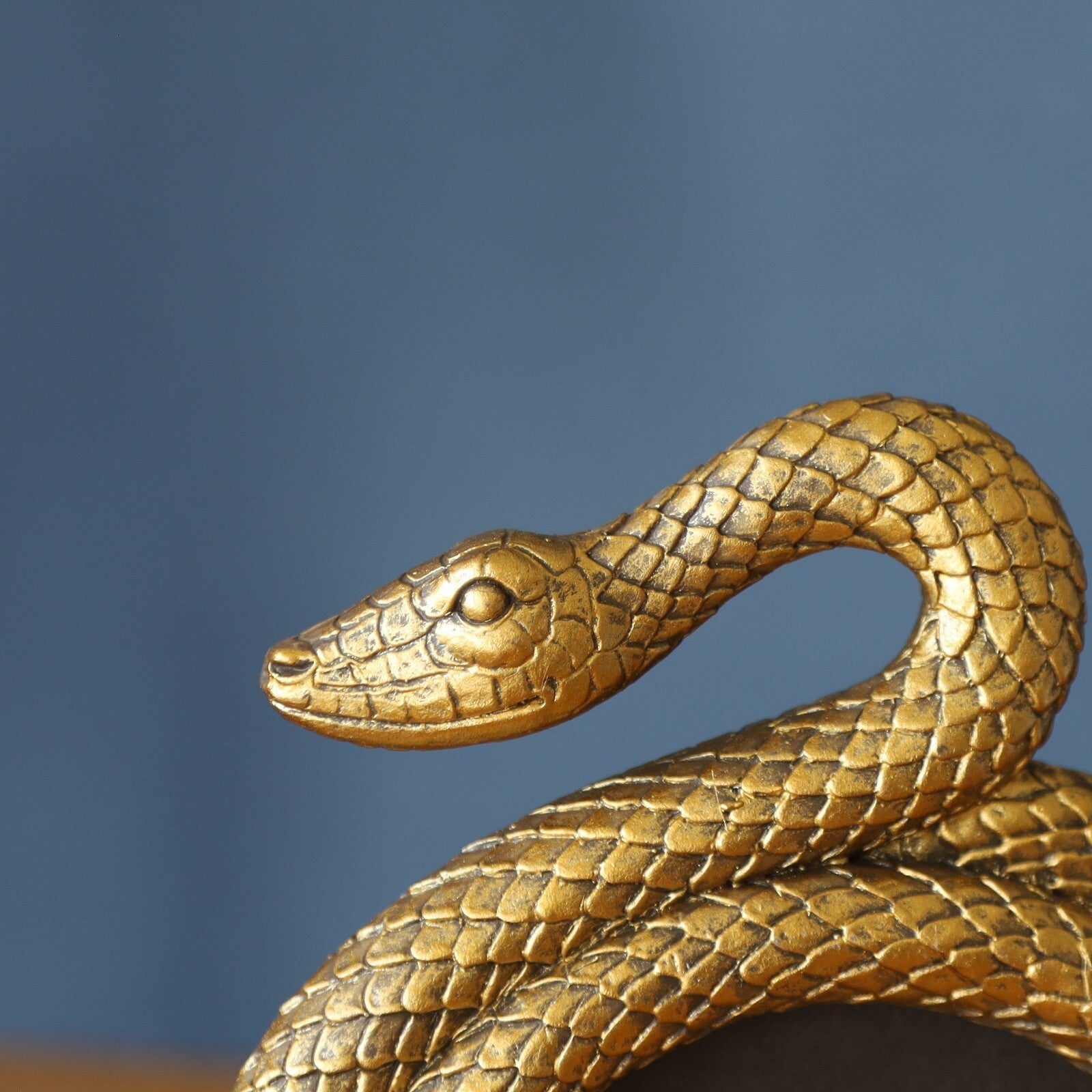 Resin Gold Snake Photo Frame 9x9cm Picture Holder Coiled Shape Sculpture Decor