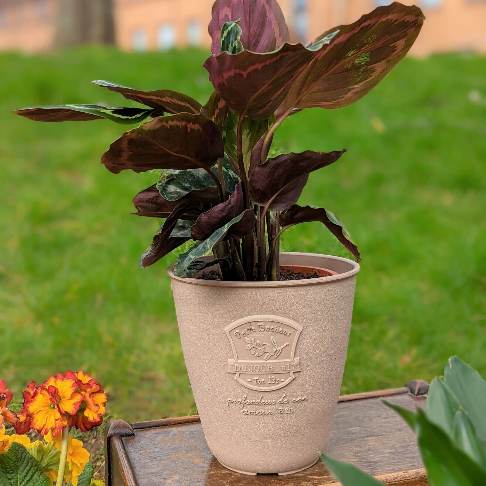 3.5L Light Brown Plastic Plant Pot 19.5cm Olive Tall Garden Planter Heavy Pot