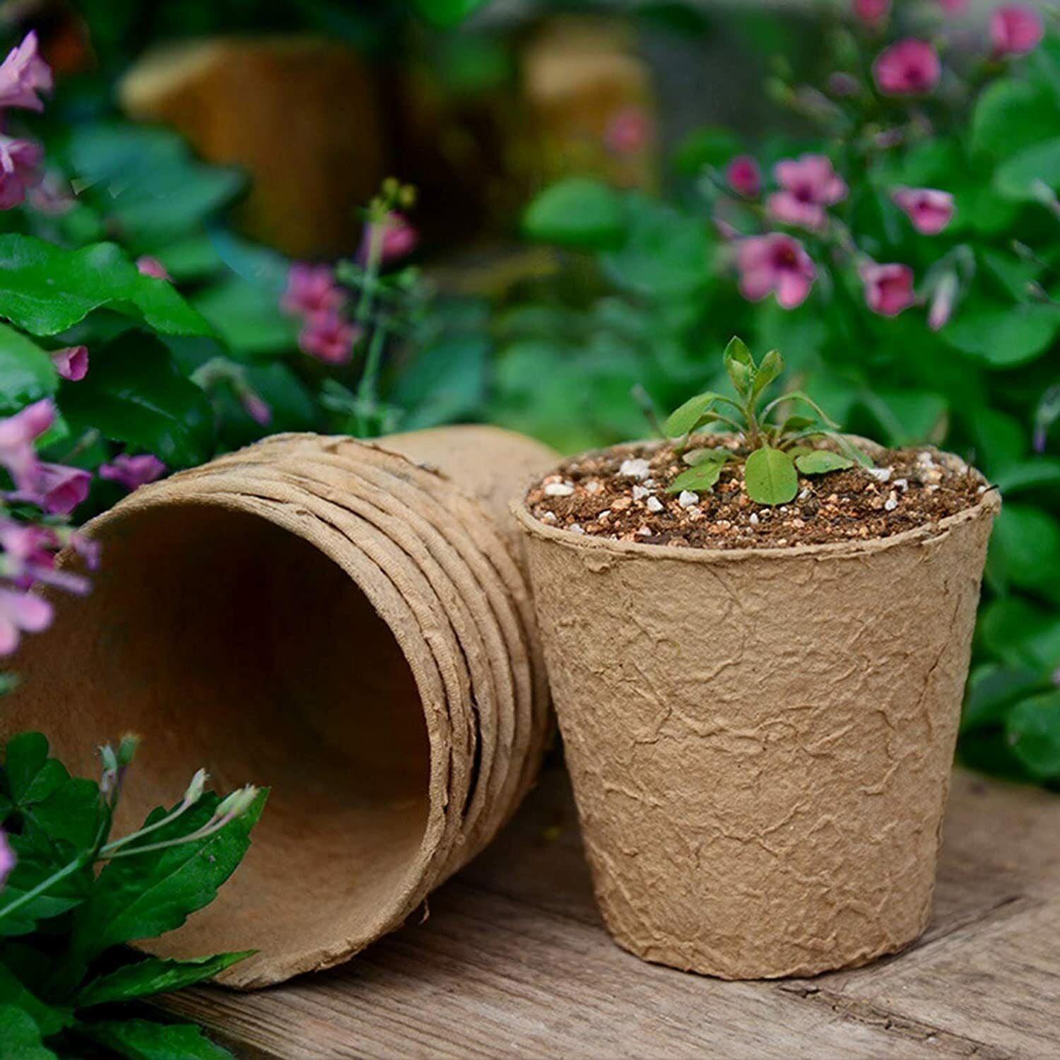 84Pcs Nursery Cup Plant Pot 6cm Round Pulp Peat Biodegradable Fibre Herb Pots