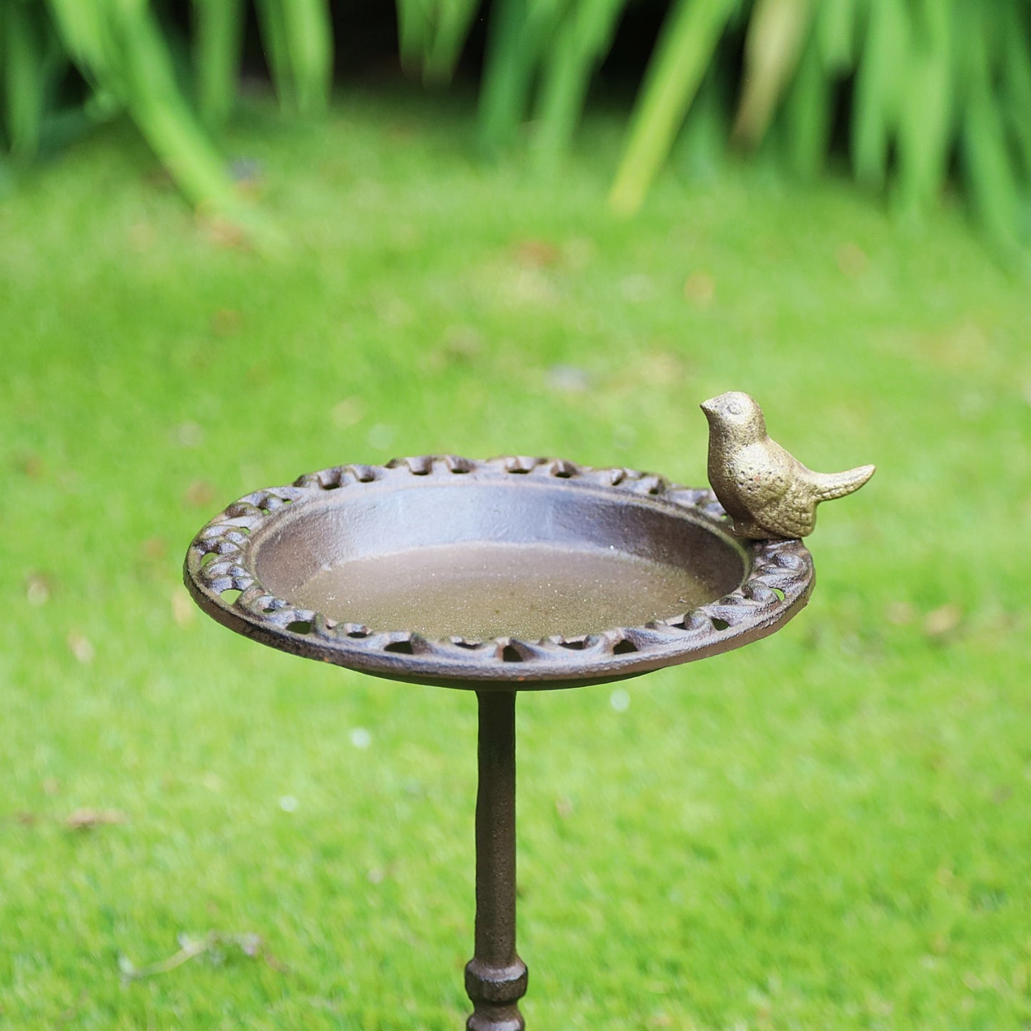 Cast Iron 38cm Tall Bird Bath Feeder for Small Wild Birds Water Food on Stand