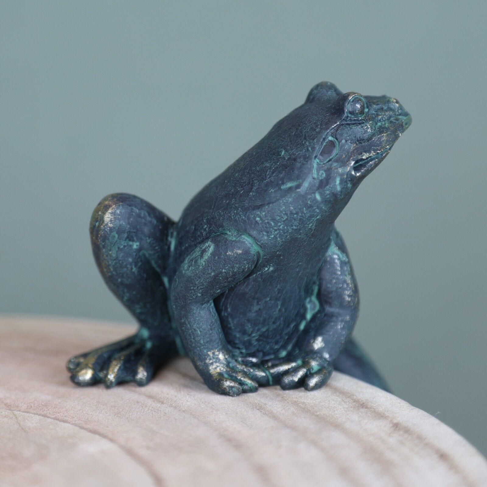 2Pc Climbing Frogs Shelf Sitting Bronze Effect Resin Animal Sculptures Gift