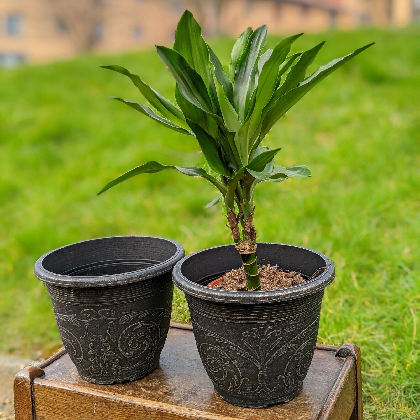 Set of 2 Copper Brushed Plastic Plant Pot 20cm Champagne Round 3L Garden Planter