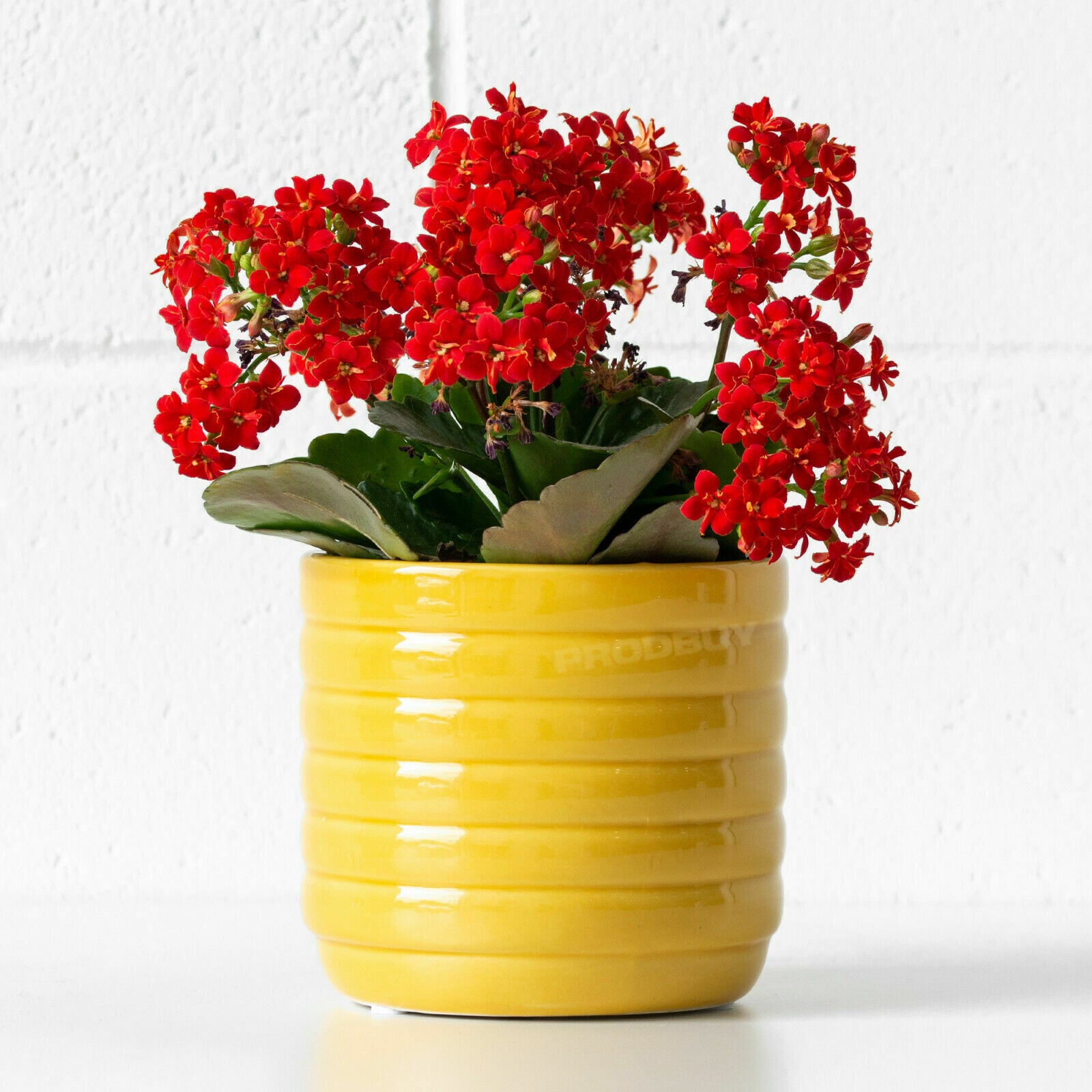 13cm Yellow Plant Pot Honey Bee Hive Design Planter Ceramic House Plant Pot