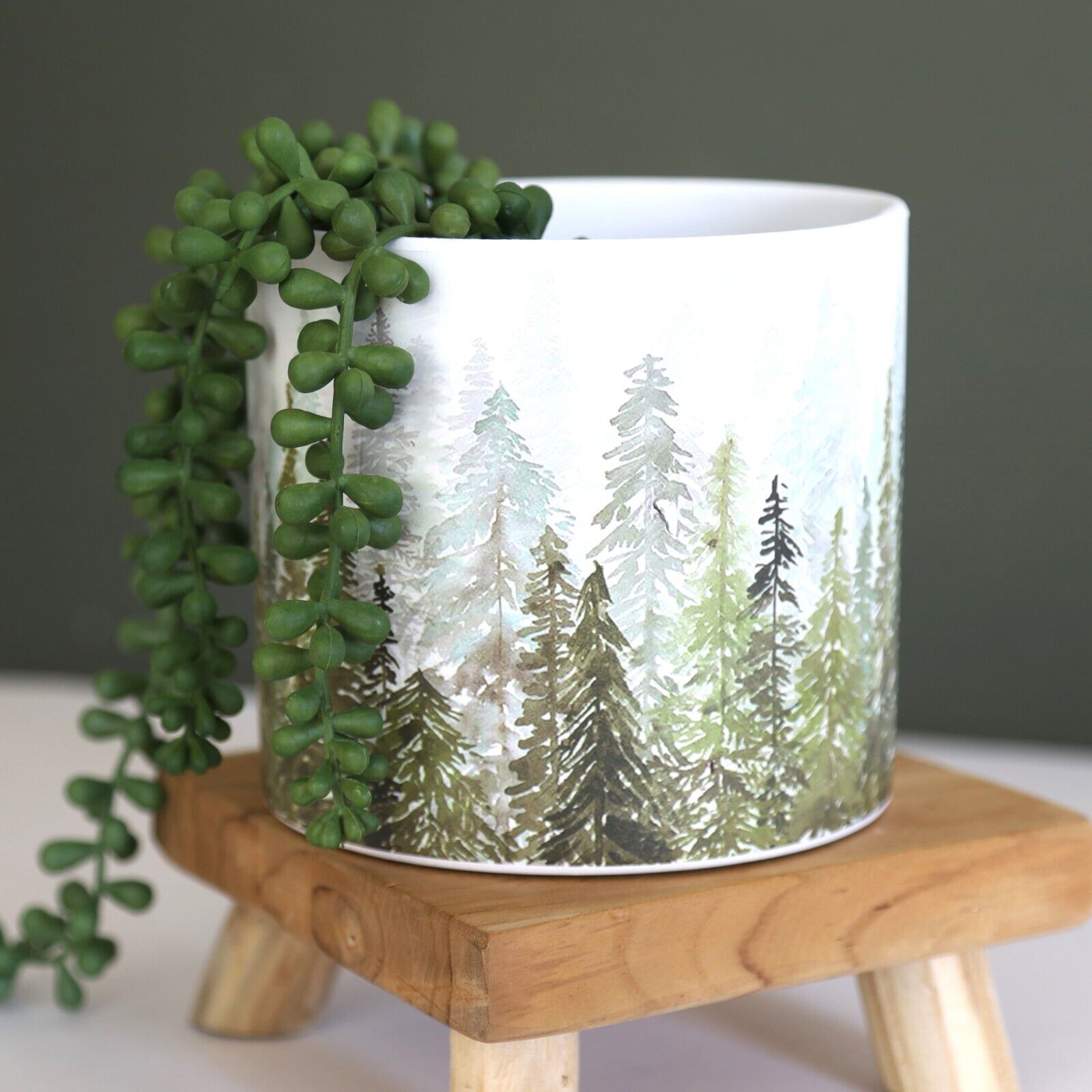 13.5cm Mountain Scape Jungle Ceramic Indoor Plant Pot Holder Herb Cover Planter