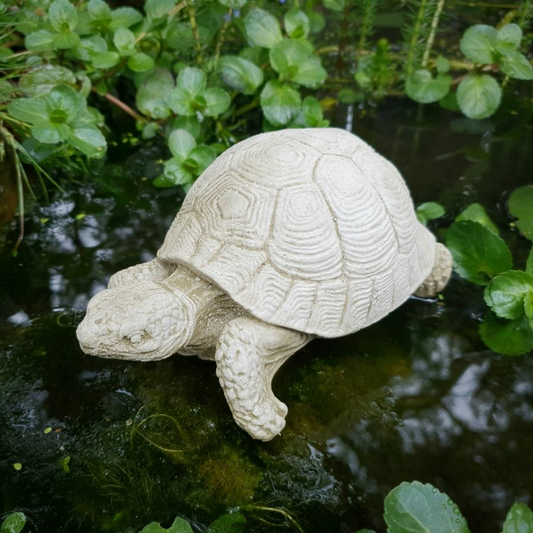 Tortoise Stoneware Garden Natural Turtle Gift Lawn Concrete Sculpture Ornament