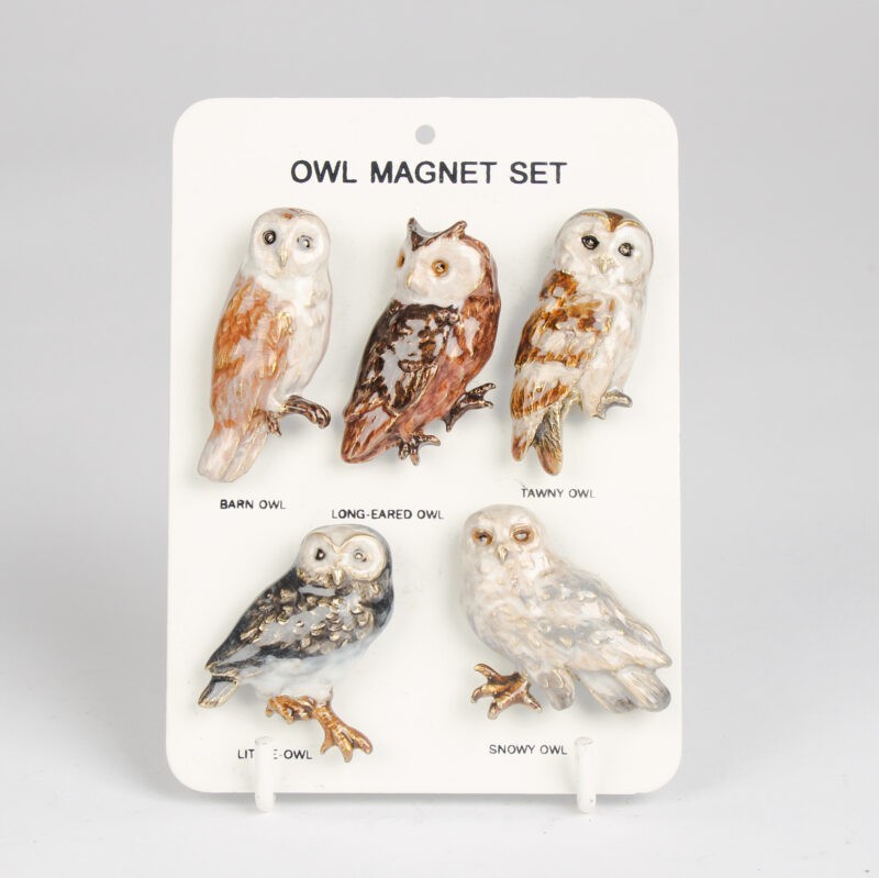 5Pc Metal Owl Fridge Magnets Brown Enamel Bird Refrigerator Kitchen Office Set