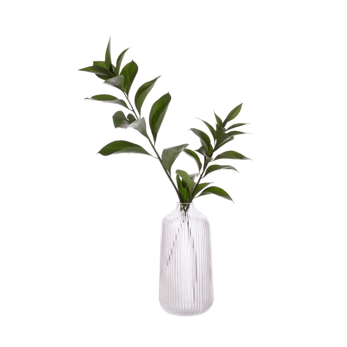 Tall Fluted Glass Vase Glass Sodalime Vase Table Display Flowers Display Holder