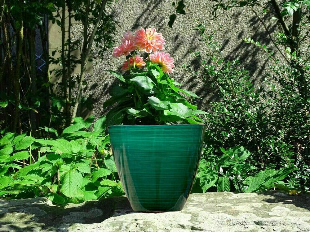 25cm Large Plastic Round Forest Green Savannah Planter Plant Flowers Pot Cover
