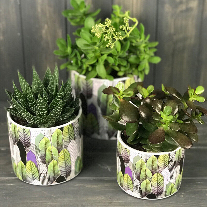 2 x Small Geometric Leaves Ceramic Indoor Plant Pot Holder Herb Cover Planters