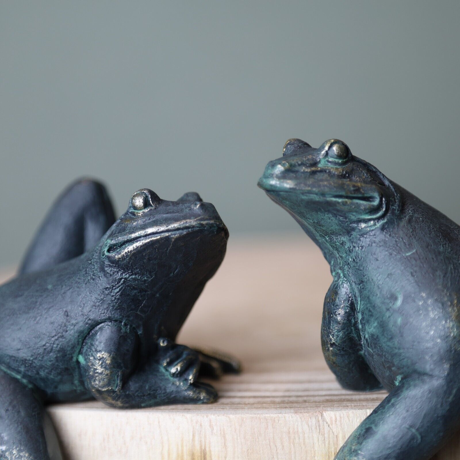 2Pc Climbing Frogs Shelf Sitting Bronze Effect Resin Animal Sculptures Gift