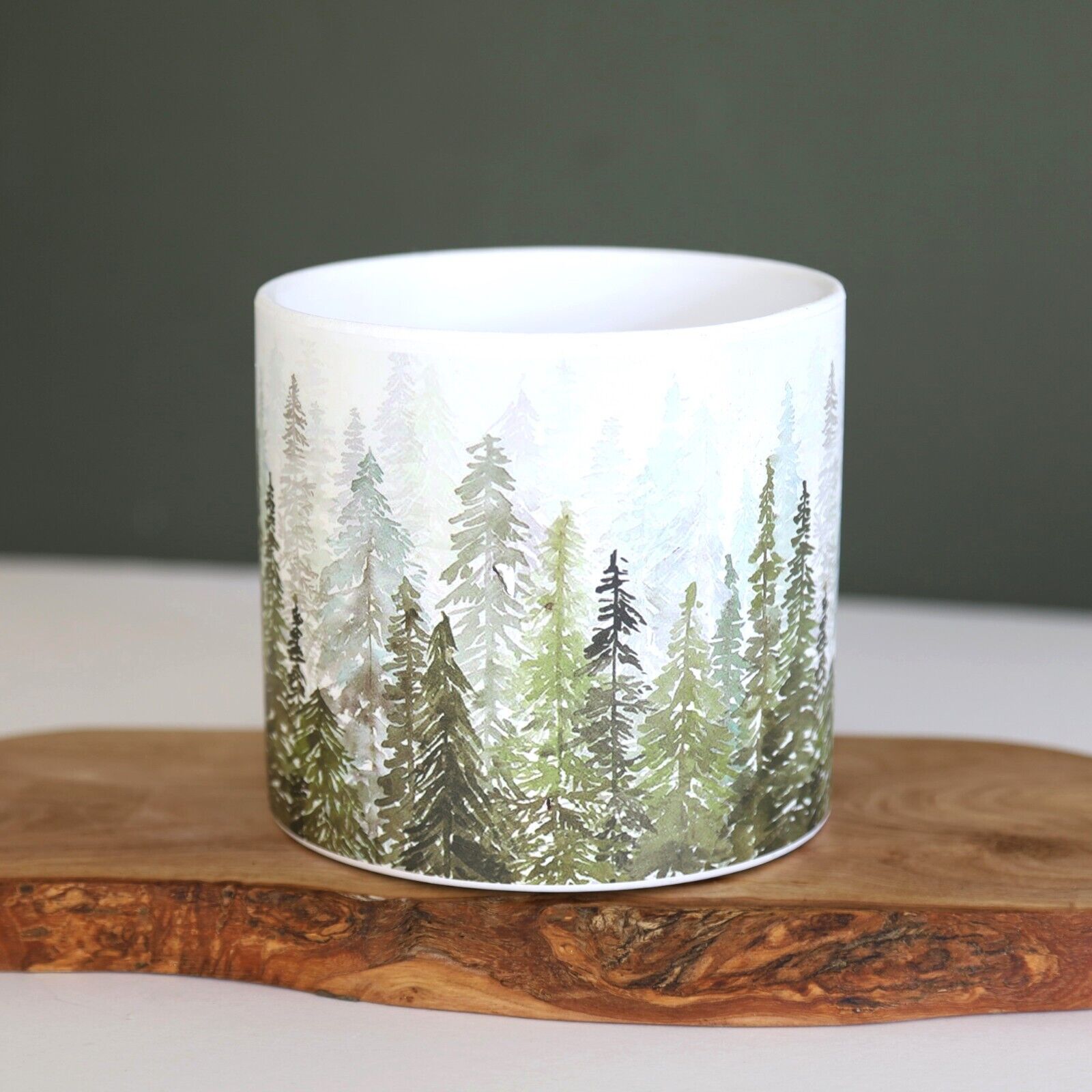 13.5cm Mountain Scape Jungle Ceramic Indoor Plant Pot Holder Herb Cover Planter