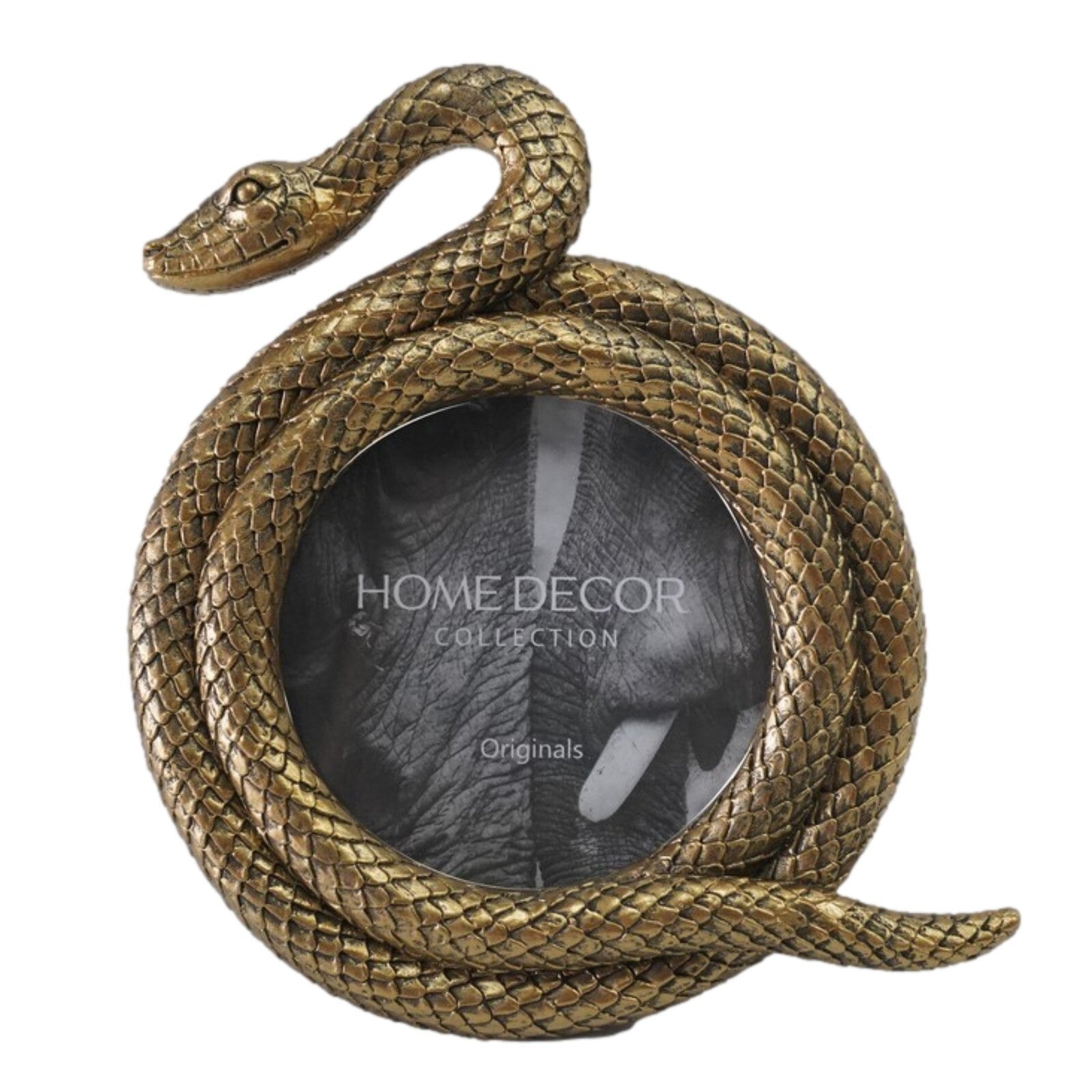 Resin Gold Snake Photo Frame 9x9cm Picture Holder Coiled Shape Sculpture Decor