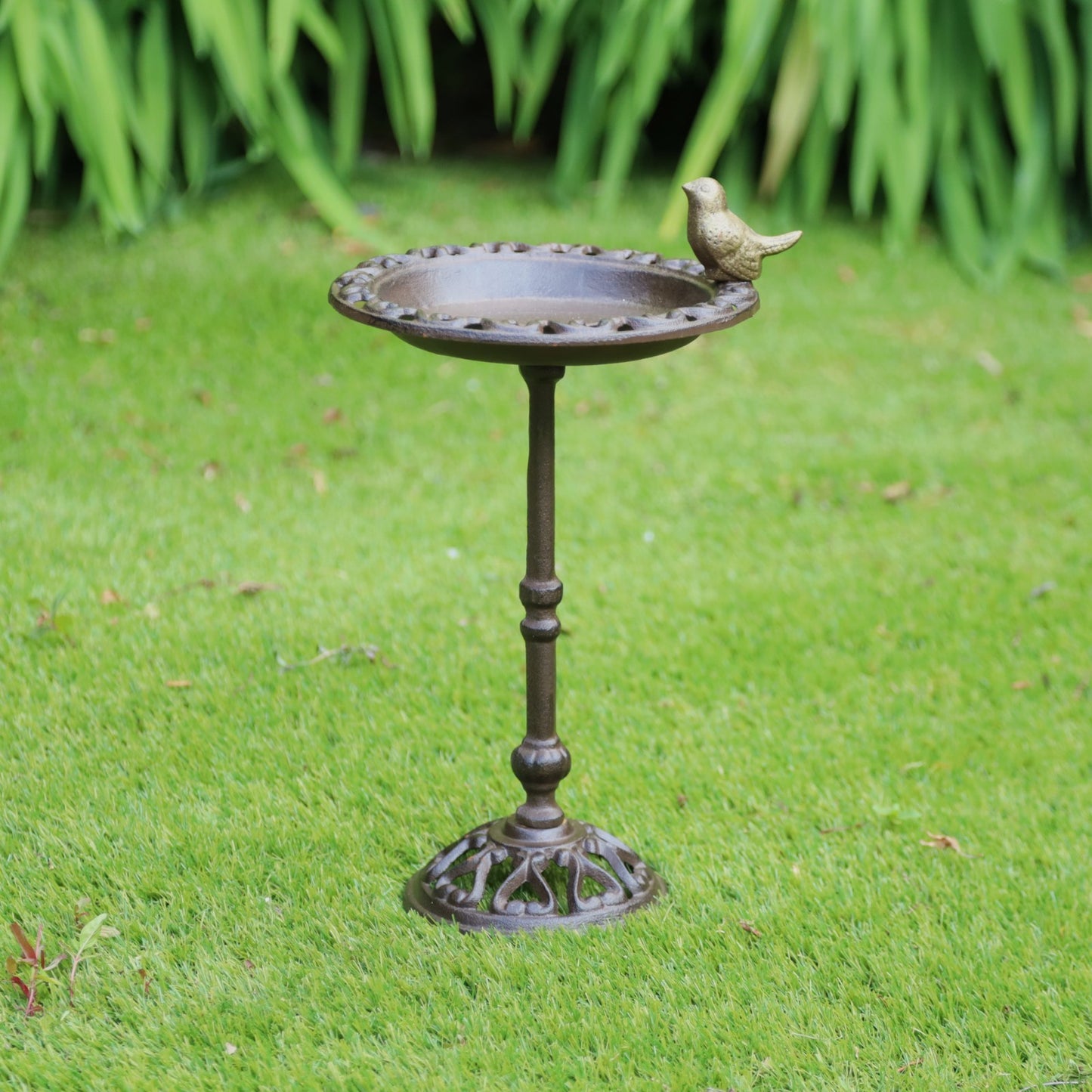 Cast Iron 38cm Tall Bird Bath Feeder for Small Wild Birds Water Food on Stand