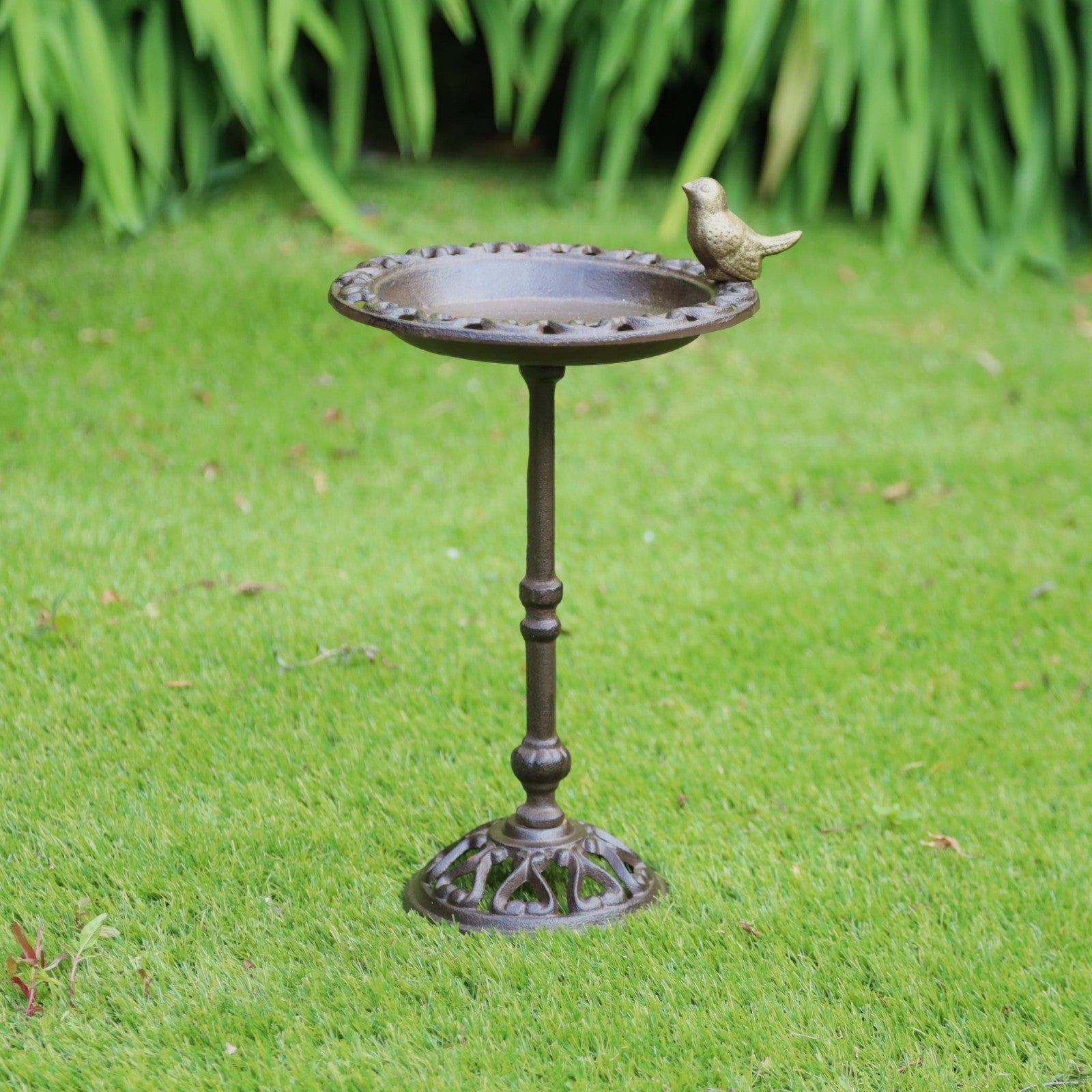 Cast Iron 38cm Tall Bird Bath Feeder for Small Wild Birds Water Food on Stand